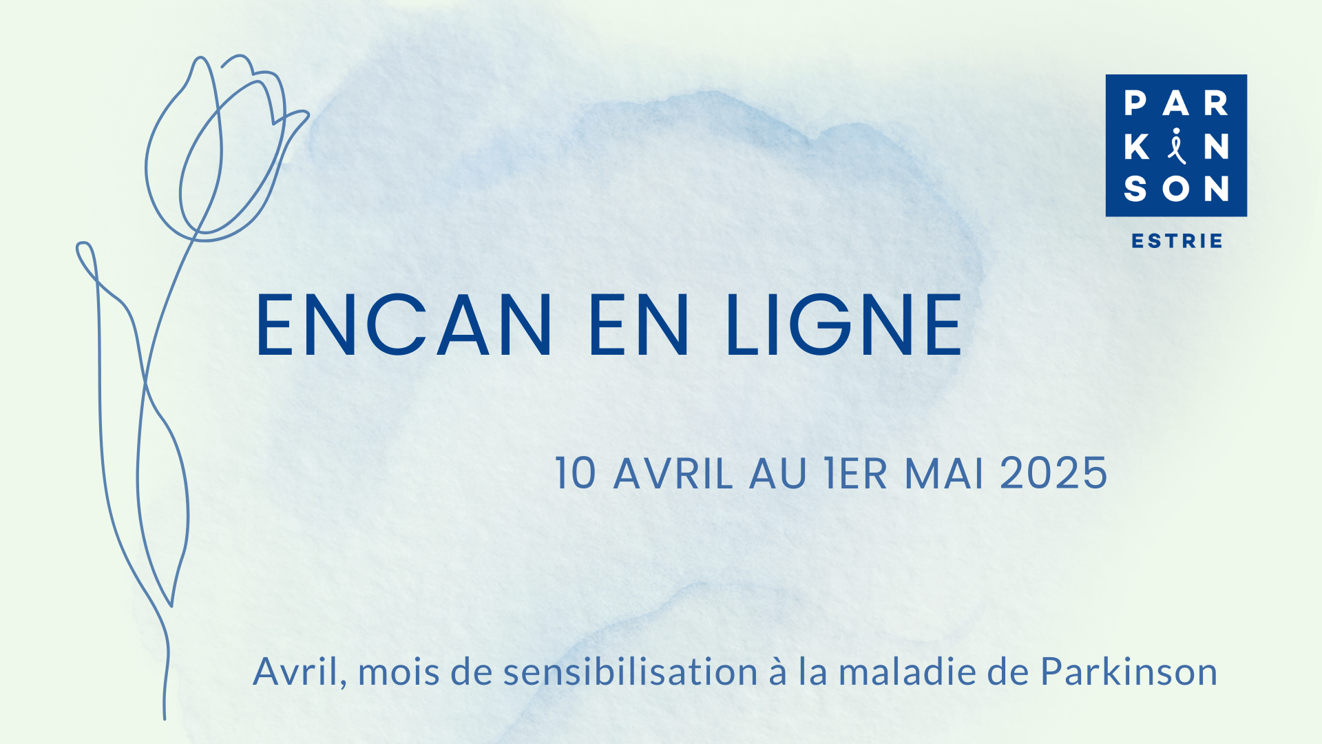 Encan en ligne 